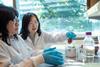Low-Res__Yang-Lab_CKiernan_025-Header