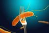 Salmonella,Food,Poisoning,,3d,Illustration