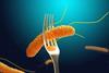 shutterstock_1091021354