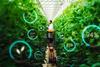 Male,Bioengineer,Inspecting,Growth,Of,Crops,On,Modern,Vertical,Farm.