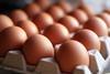 Organic,Brown,Eggs,In,Tray,Or,Egg,Box.,Poultry,Chicken