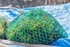 Seaweed,Farming.,Bags,Of,Collected,Seaweed.,Rote,Island,(pulau,Rote),