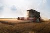 Harvester,Working,In,Wheatfield,At,Sunset.,Harvest,Ripe,Wheat.,Agriculture