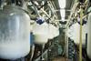 shutterstock_2303745801