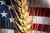 Close,Up,Photo,Of,Us,Flag,Wheat