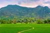 shutterstock_2830574805