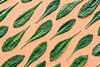 Fresh,Organic,Green,Kale,Leaves,Pattern,On,A,Pastel,Peach