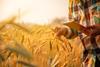 Young,Man,Agriculture,Engineer,Squatting,In,Gold,Wheat,Field,With