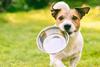 AdobeStock_287820772