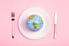 Globe,On,A,Plate,For,Food,On,A,Pink,Background.