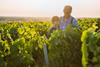 Two,Generations,Of,French,Winegrowers,In,Their,Vineyards,At,Sunset.
