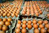 Fresh,Eggs,Neatly,Arranged,In,Carton,At,Supermarket.,Perfect,For