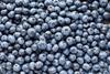 Fresh,Blueberry,Background,Texture.,Close,Up.