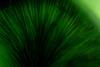 9265c46e-9028-4b55-9be5-610d677160da