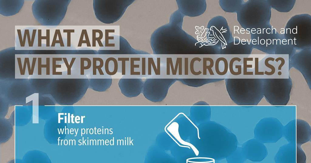 novo nordisk glp 1 oral Novo Nordisk launches first GLP-1 pill for obesity, but Lilly may dominate  the oral market eventually
