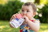 shutterstock_2647529327