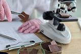 shutterstock_2732350271