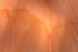 Low-Res_laks1 foto Lene Hundborg Koss