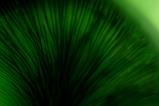 9265c46e-9028-4b55-9be5-610d677160da