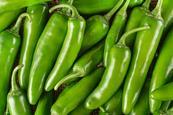 shutterstock_1836666028