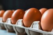 shutterstock_2706784977