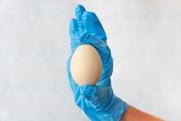 shutterstock_2799690191