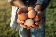 shutterstock_2033938076