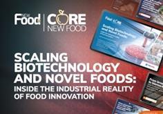 NF Novel Foods report banner_300x250 (1)