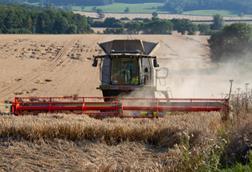 shutterstock_1491911054