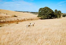AdobeStock_2156545872