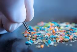 shutterstock_2309914391