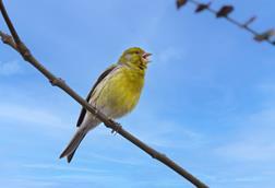 shutterstock_2709390699