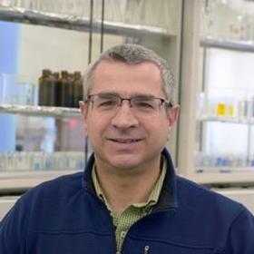 Dr Anthony Provatas