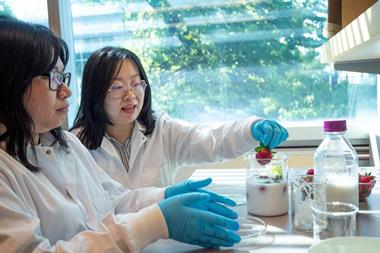 Low-Res__Yang-Lab_CKiernan_025-Header
