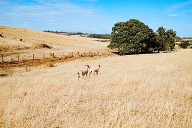 AdobeStock_2156545872