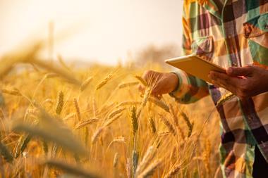 Young,Man,Agriculture,Engineer,Squatting,In,Gold,Wheat,Field,With