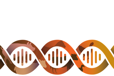 22-0742 FSD iD-Check Meat Speciation Signature Graphic_FINAL2_PD (1)