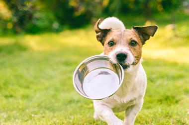 AdobeStock_287820772