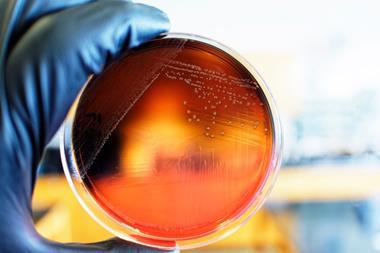 shutterstock_2164193067