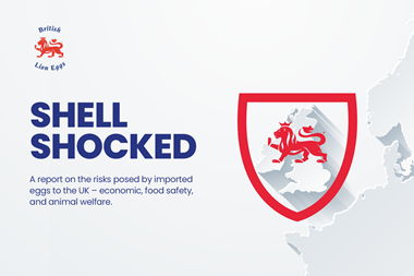 Shell-shocked-press-release-image