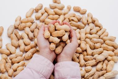 Close,Up,,Peanut,In,The,Hands,Of,A,Child,Isolated