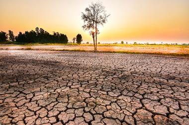 shutterstock_1338254135