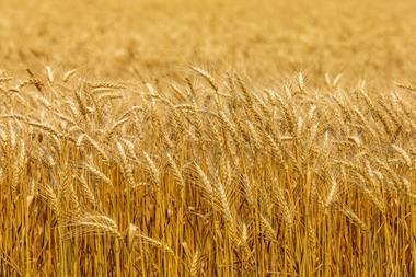 shutterstock_2063662418