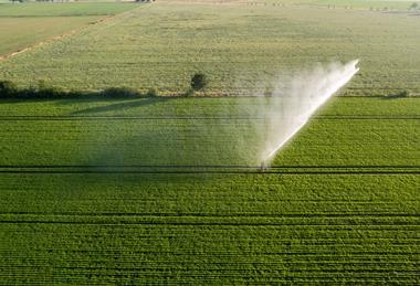Aerial,View,By,A,Drone,Of,A,Potato,Field,Being
