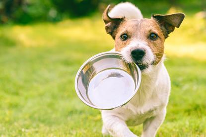AdobeStock_287820772