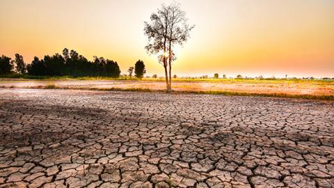 shutterstock_1338254135