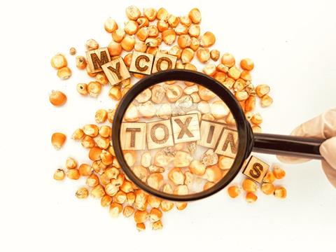 shutterstock_2209034683 IDF Food saftey