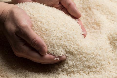 A,Man,Is,Holding,Rice,In,His,Hand.