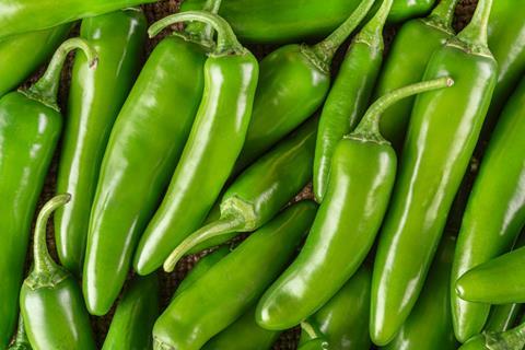Image of green jalapeno peppers.