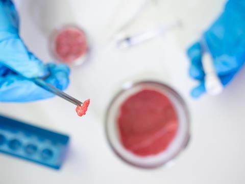 Artificial,Meat,Created,In,The,Laboratory,Flat,Lay